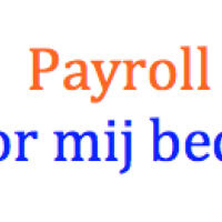 Payrollvoormijbedrijf.nl