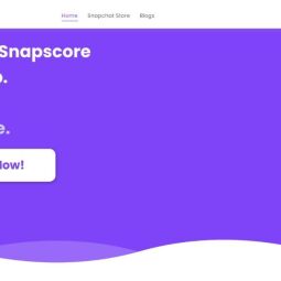 buy-snapscore.com
