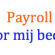 Payrollvoormijbedrijf.nl