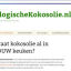 biologischekokosolie.nl