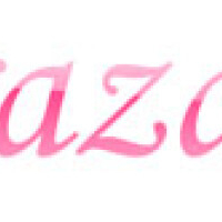 straza.nl - afbeelding 2