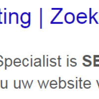 seaseo.nl - afbeelding 2