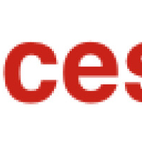 desuccesmagneet.nl - afbeelding 2