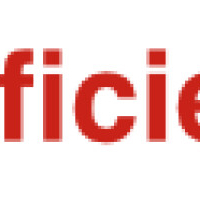 bedrijfsefficiencymodel.com - afbeelding 1