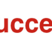praktischsuccesmanagement.nl - afbeelding 1