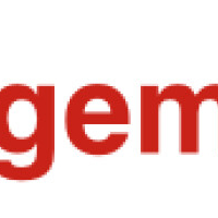 hetmanagementmodel.com - afbeelding 1
