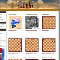 schaakfans.nl - afbeelding 2