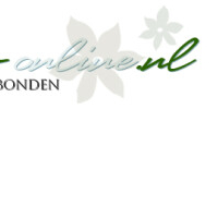 bosjebloemen-online.nl - afbeelding 2