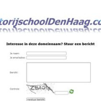 autorijschooldenhaag.com - afbeelding 1