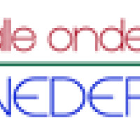alleondernemersnederland.nl - afbeelding 2