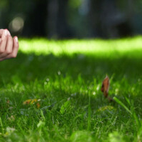 yogaenqigong.nl - afbeelding 3