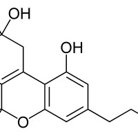 tetrahydrocannabinol.nl - afbeelding 1