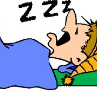 Slaapfijn.nl - afbeelding 1