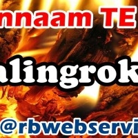 depalingroker.nl - afbeelding 1