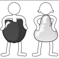 appelvorm.nl - afbeelding 1