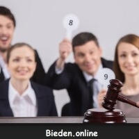Bieden.online - afbeelding 1