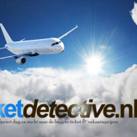 ticketdetective.nl - afbeelding 1
