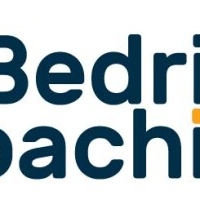 bedrijfscoaching.nl - afbeelding 1