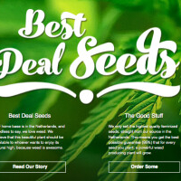 bestdealseeds.com - afbeelding 1