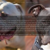 informatieoverhonden.nl - afbeelding 1