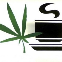 dutch-coffeeshops.com - afbeelding 1