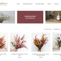 droogbloemenspecialist.nl - afbeelding 1
