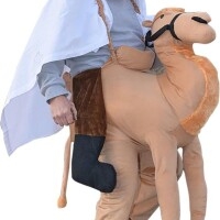 Knuffelpakken.nl - afbeelding 3