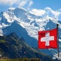 formulaswiss.shop - afbeelding 1