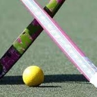 hockeydirect.shop - afbeelding 1