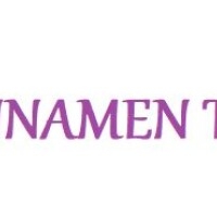 formule1travel.nl - afbeelding 1